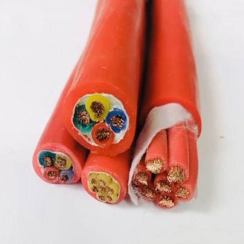 IMG_1428.jpg IMG_1428.jpg