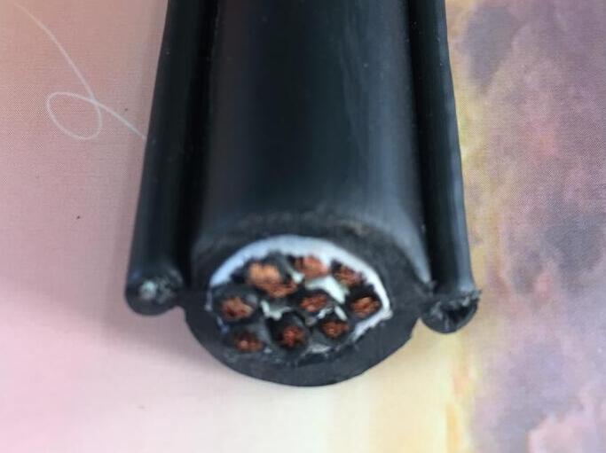 ������̳��hibet(�й�)�ٷ���վ