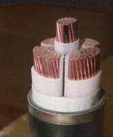 ������̳��hibet(�й�)�ٷ���վ