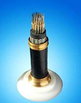 海博论坛·hibet(中国)官方网站