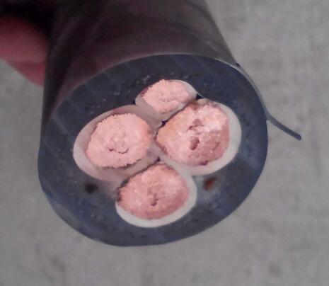 ������̳��hibet(�й�)�ٷ���վ