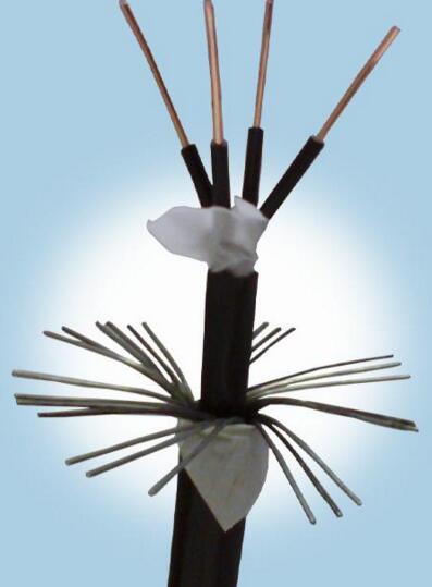 ������̳��hibet(�й�)�ٷ���վ