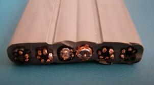 ������̳��hibet(�й�)�ٷ���վ