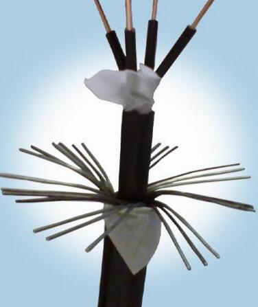 ������̳��hibet(�й�)�ٷ���վ