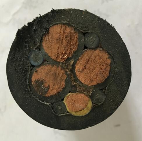 ������̳��hibet(�й�)�ٷ���վ