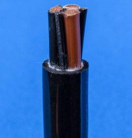 ������̳��hibet(�й�)�ٷ���վ