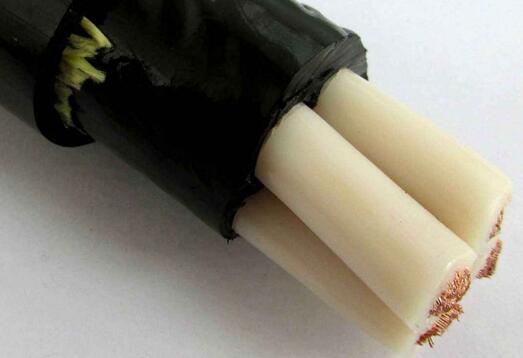 ������̳��hibet(�й�)�ٷ���վ