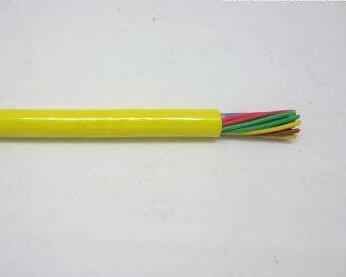 ������̳��hibet(�й�)�ٷ���վ