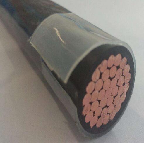 ������̳��hibet(�й�)�ٷ���վ