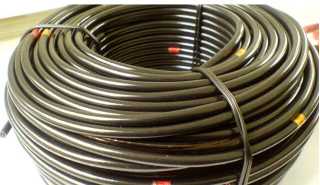 ������̳��hibet(�й�)�ٷ���վ