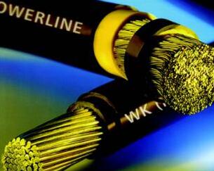 ������̳��hibet(�й�)�ٷ���վ