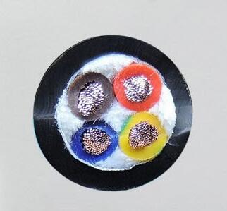 海博论坛·hibet(中国)官方网站