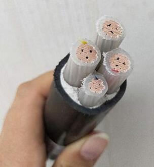 ������̳��hibet(�й�)�ٷ���վ