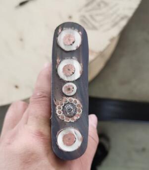 ������̳��hibet(�й�)�ٷ���վ