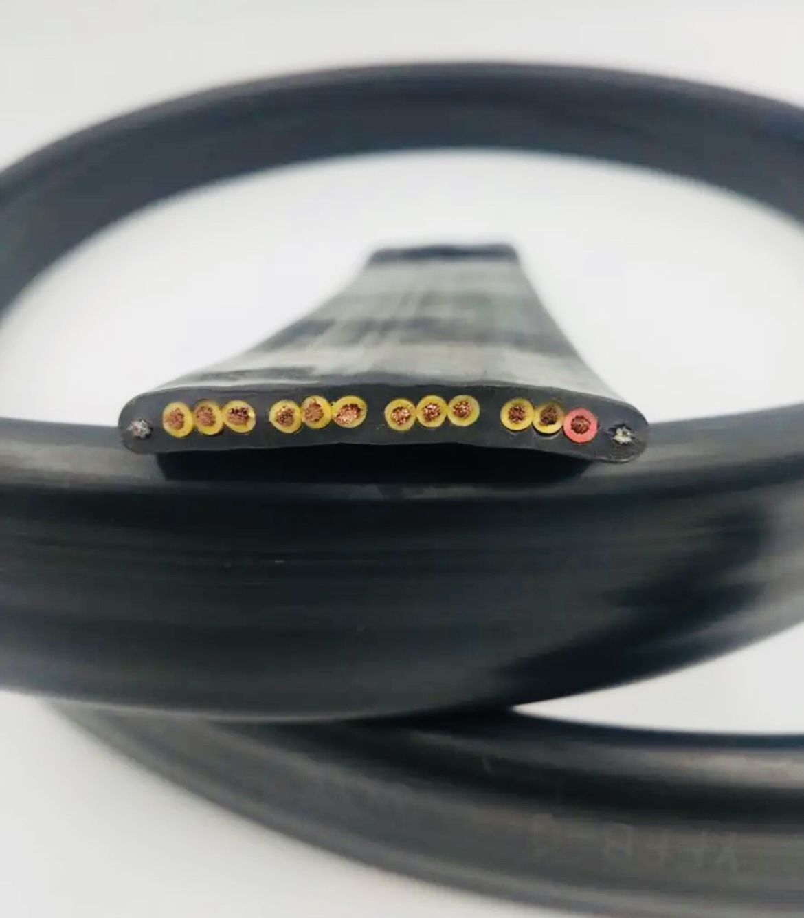 海博论坛·hibet(中国)官方网站