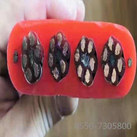 ������̳��hibet(�й�)�ٷ���վ