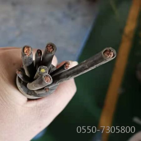 ������̳��hibet(�й�)�ٷ���վ