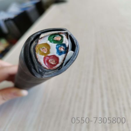 ������̳��hibet(�й�)�ٷ���վ