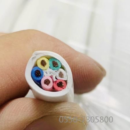 海博论坛·hibet(中国)官方网站