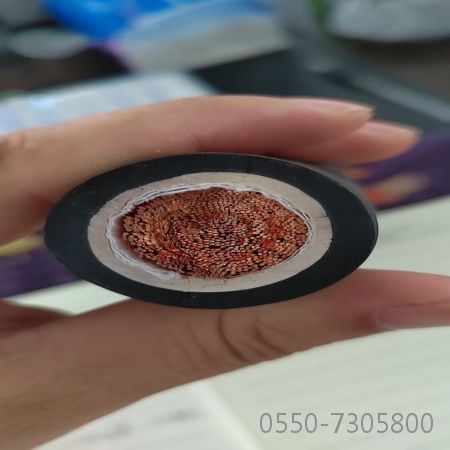 ������̳��hibet(�й�)�ٷ���վ