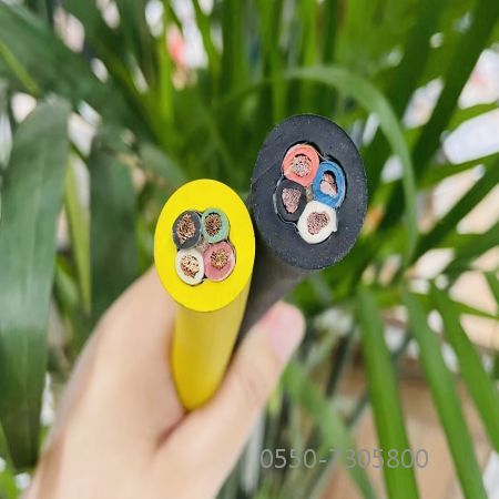 ������̳��hibet(�й�)�ٷ���վ