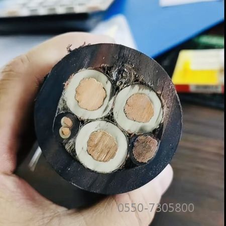 ������̳��hibet(�й�)�ٷ���վ