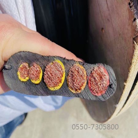 海博论坛·hibet(中国)官方网站