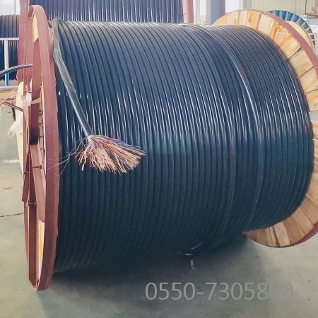 ������̳��hibet(�й�)�ٷ���վ