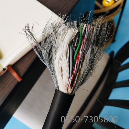 ������̳��hibet(�й�)�ٷ���վ