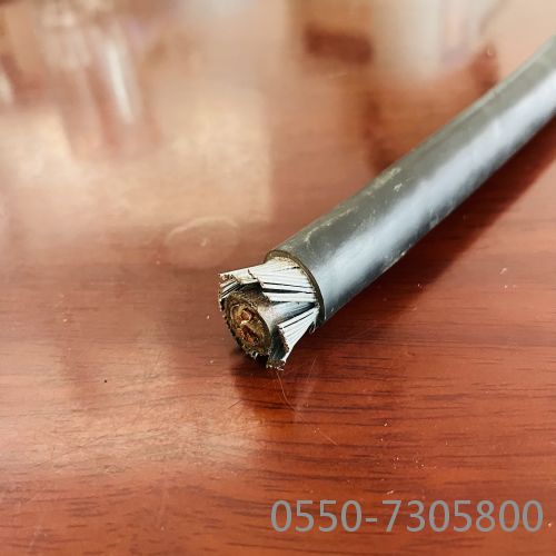 海博论坛·hibet(中国)官方网站