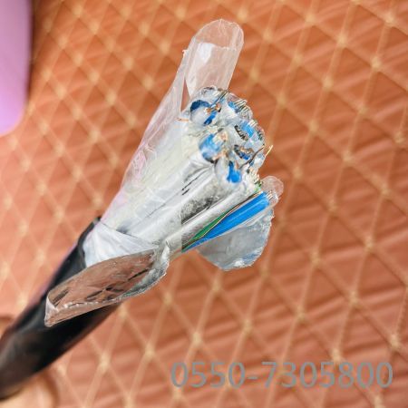 ������̳��hibet(�й�)�ٷ���վ