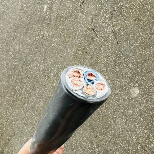 ������̳��hibet(�й�)�ٷ���վ