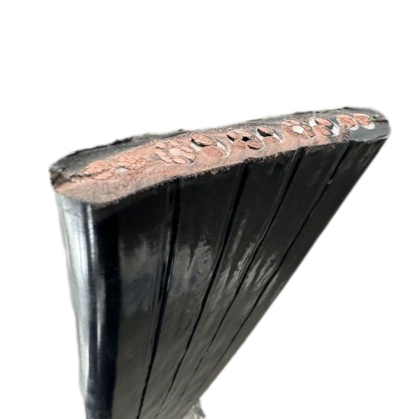 ������̳��hibet(�й�)�ٷ���վ