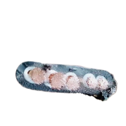 ������̳��hibet(�й�)�ٷ���վ