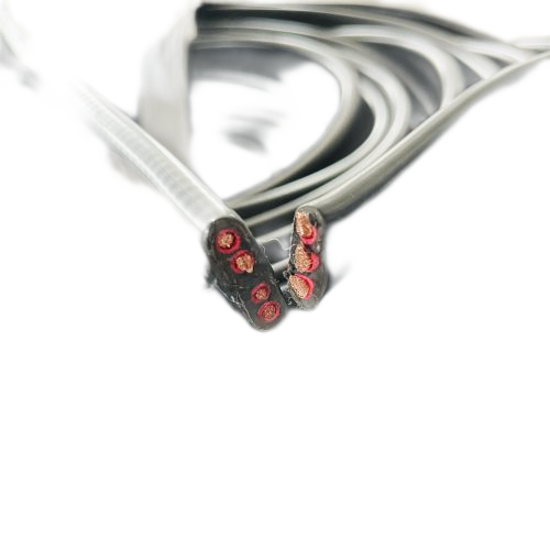 ������̳��hibet(�й�)�ٷ���վ