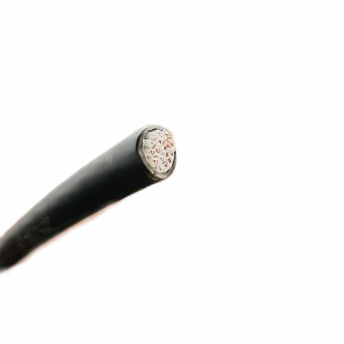 ������̳��hibet(�й�)�ٷ���վ