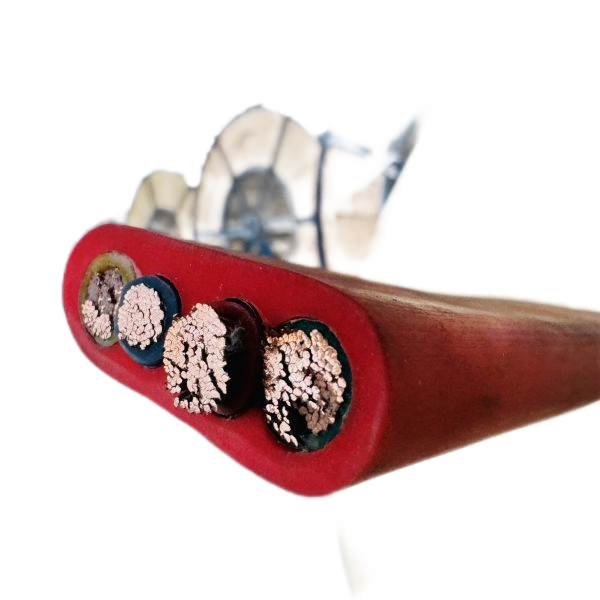 ������̳��hibet(�й�)�ٷ���վ