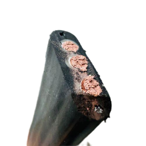 ������̳��hibet(�й�)�ٷ���վ