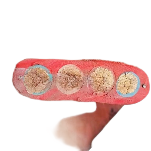 ������̳��hibet(�й�)�ٷ���վ