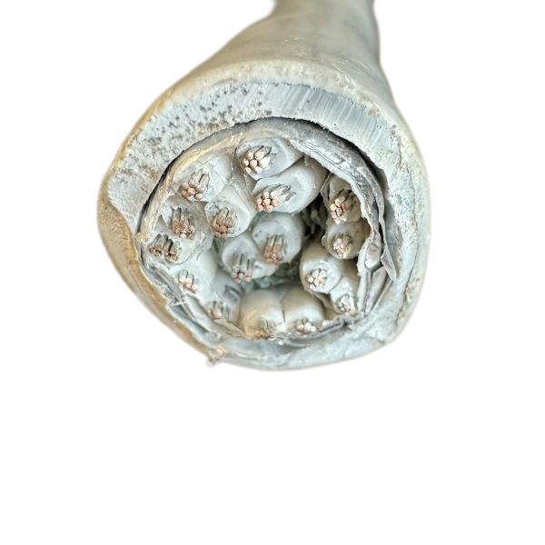 海博论坛·hibet(中国)官方网站