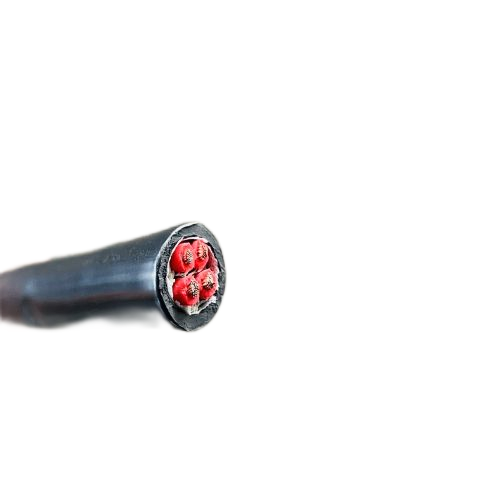 海博论坛·hibet(中国)官方网站