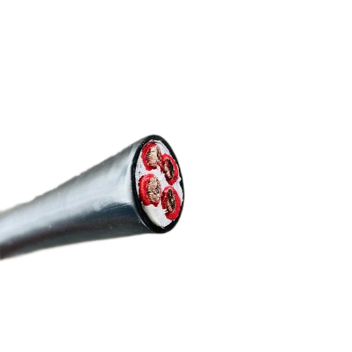 ������̳��hibet(�й�)�ٷ���վ