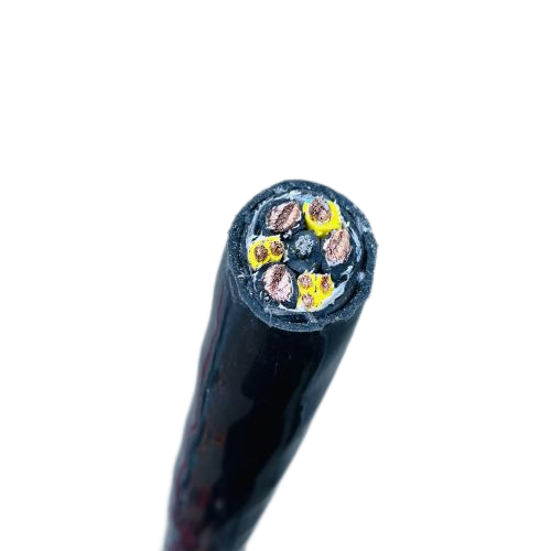 ������̳��hibet(�й�)�ٷ���վ