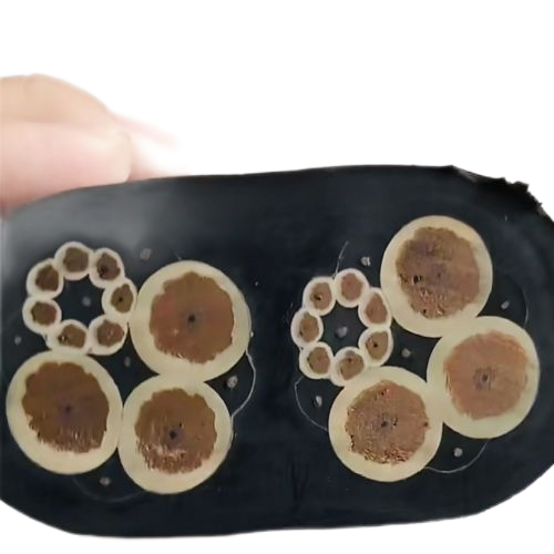 ������̳��hibet(�й�)�ٷ���վ