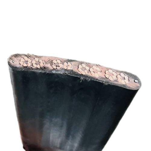 ������̳��hibet(�й�)�ٷ���վ