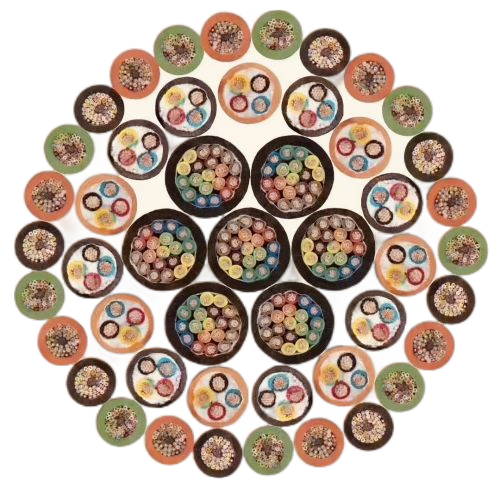 ������̳��hibet(�й�)�ٷ���վ