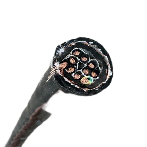 ������̳��hibet(�й�)�ٷ���վ