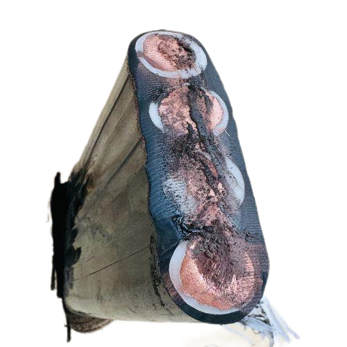 ������̳��hibet(�й�)�ٷ���վ