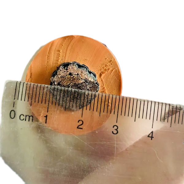 ������̳��hibet(�й�)�ٷ���վ