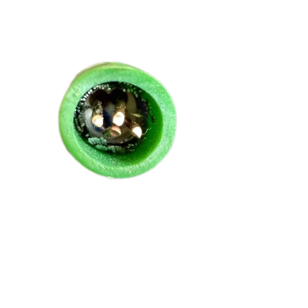 ������̳��hibet(�й�)�ٷ���վ